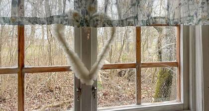 Amazing home in Romakloster with WiFi