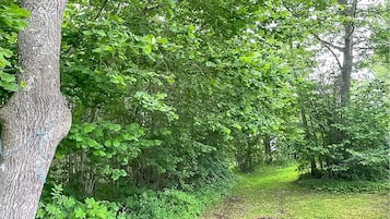 Àrea exterior de l'allotjament