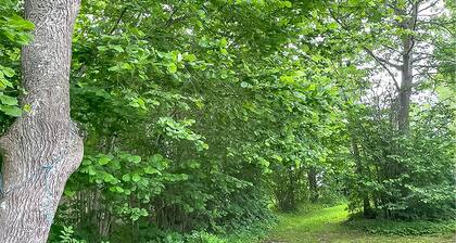 Amazing home in Romakloster with WiFi