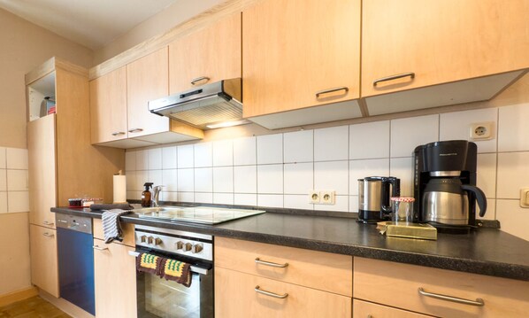 Fridge, oven, stovetop, dishwasher