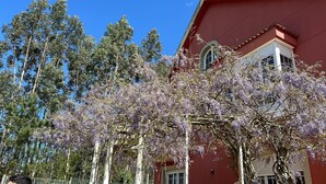Un bâtiment à la façade rouge, une pergola en bois ornée de fleurs violettes et, au fond, de grands arbres.