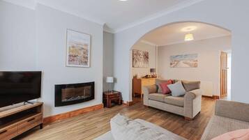 TV, fireplace, books