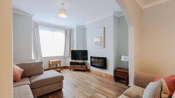 TV, fireplace, books
