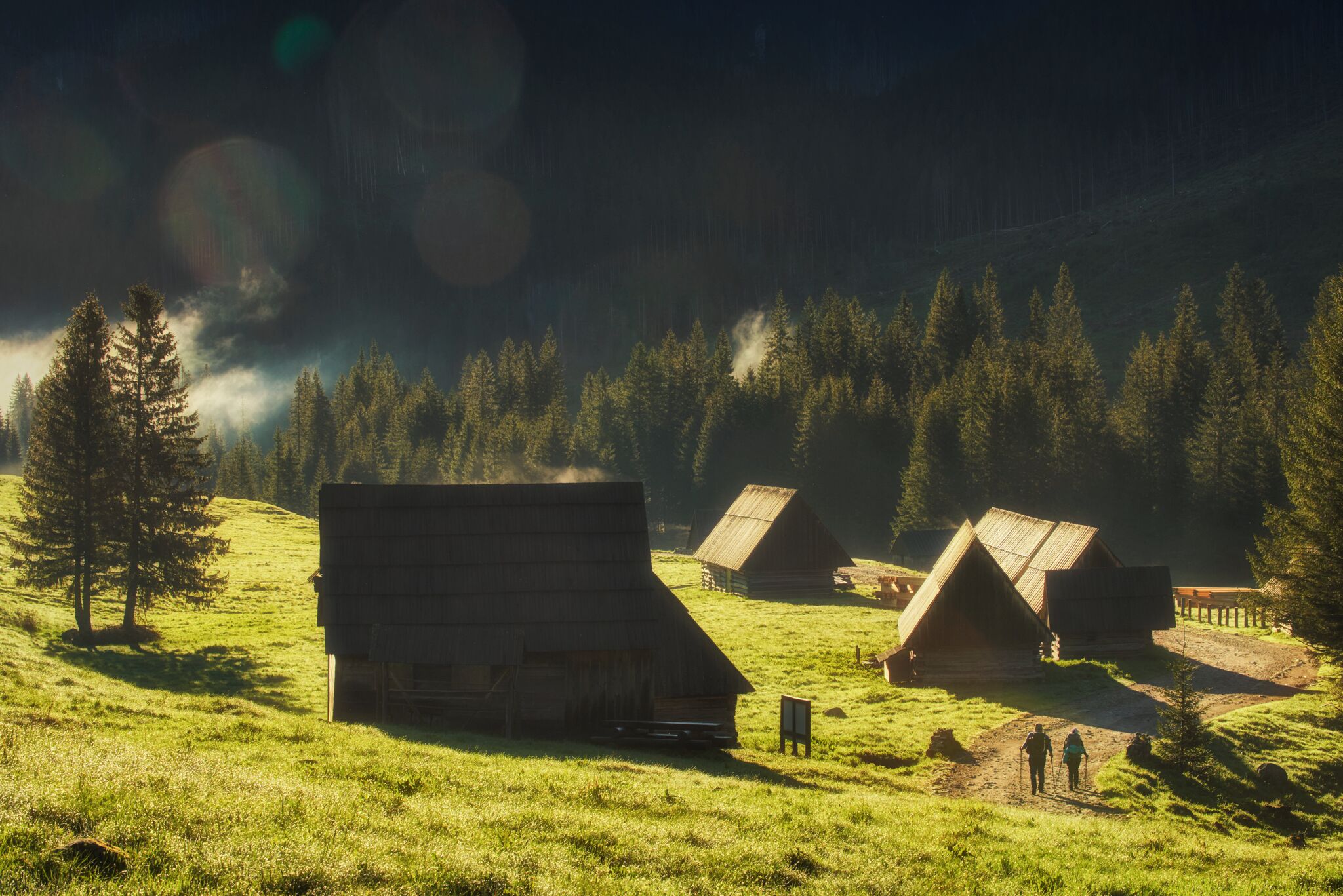 Ein ländliches Chaletgebiet mit mehreren Holzhütten, einer Wiese und bewaldeter Landschaft im Hintergrund.