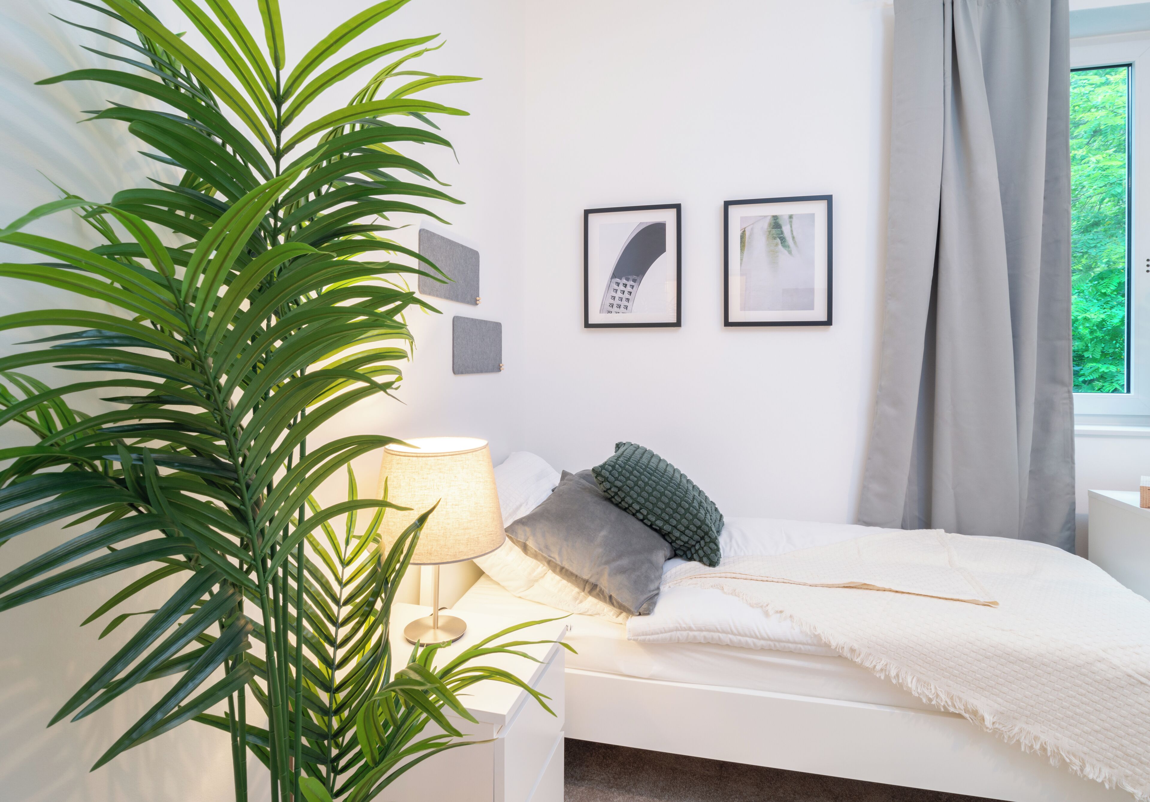Un dormitorio con una cama, una lámpara de noche, una planta en maceta y dos cuadros en la pared.