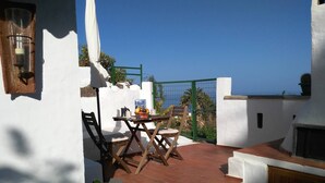 A patio with a table and chairs, a potted plant, and a view of the sea.