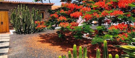 Overnattingsstedets uteområder