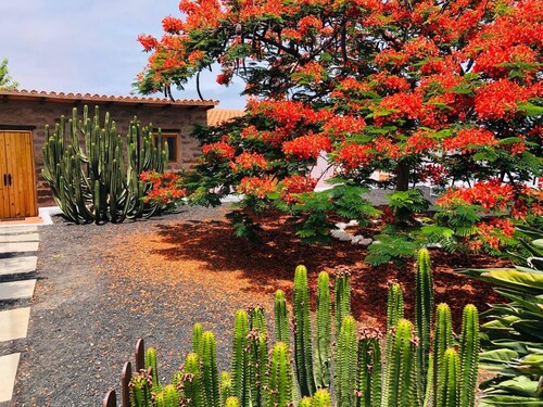 Cabaña en zona tranquila con bonitas vistas, acogedor estilo y cuidado jardín.