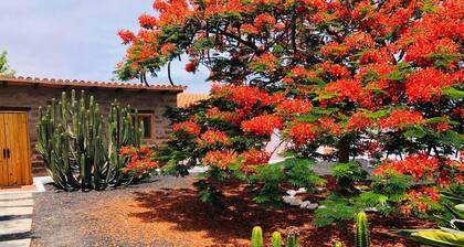 Cabaña en zona tranquila con bonitas vistas, acogedor estilo y cuidado jardĂn.