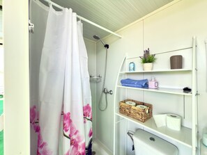 Douche, sèche-cheveux, serviettes fournies, papier toilette