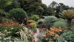 A garden pathway leading to a wooden structure surrounded by various plants and flowers.