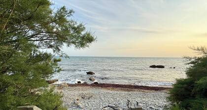 Charming Garden Lodge by the Sea – Peaceful Coastal Retreat