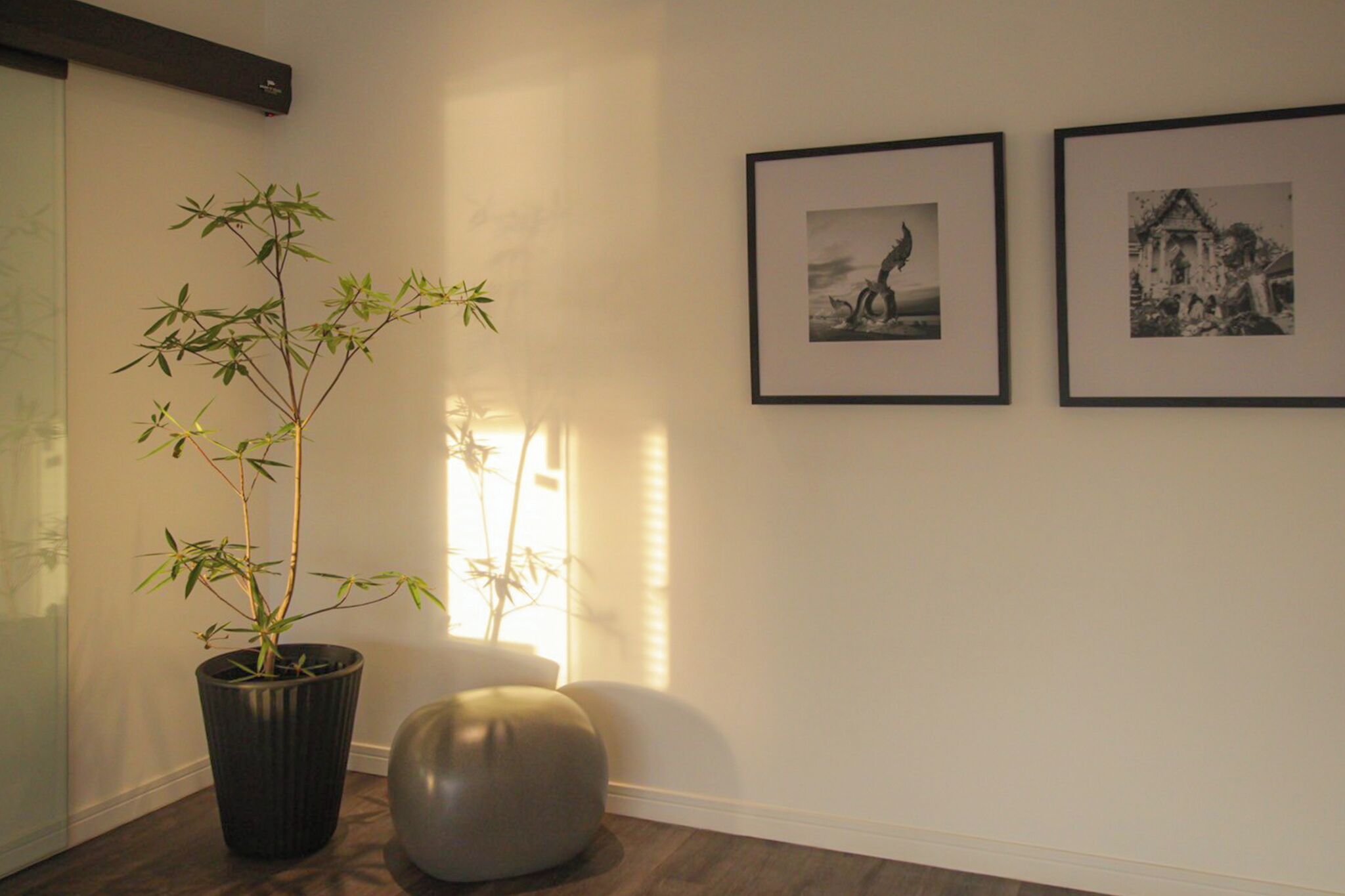 A room with a potted bamboo plant, a round ottoman, and two framed black-and-white photographs on the wall.