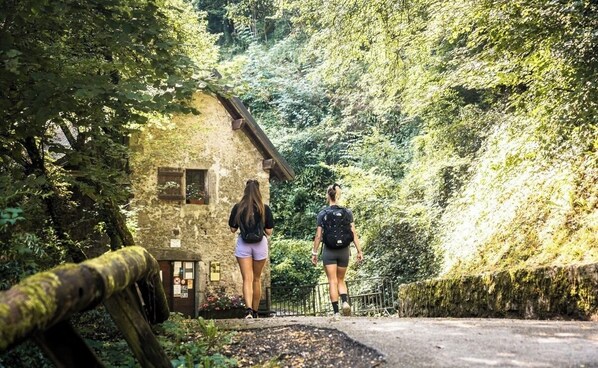 Property grounds - Charming apartment with swimming pool - Au Fort à Chanaz, 4 Pers. (Chanaz)