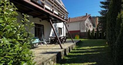 UMANI Retreat: A Serene Getaway in Buşteni
