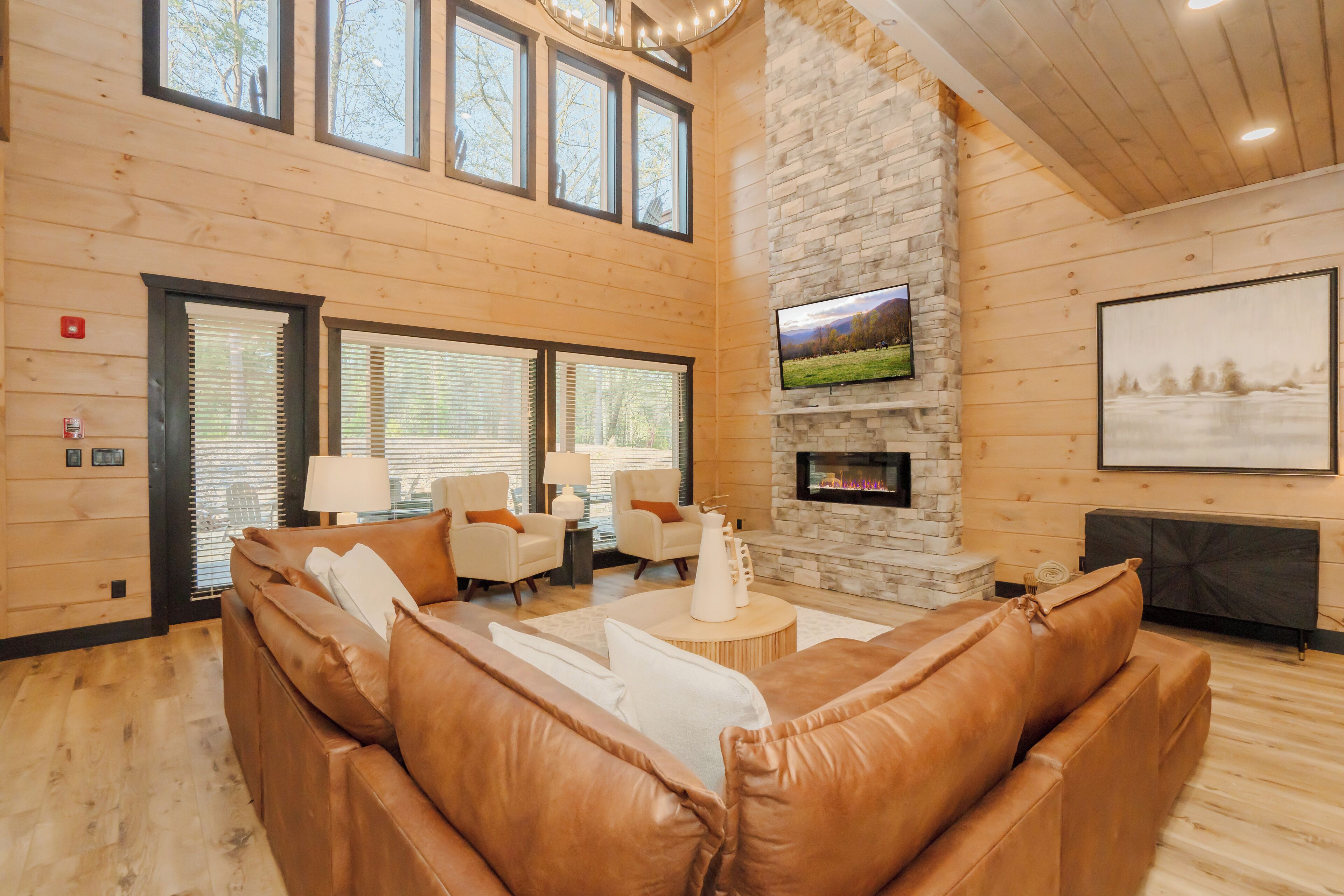 TV, fireplace, video games