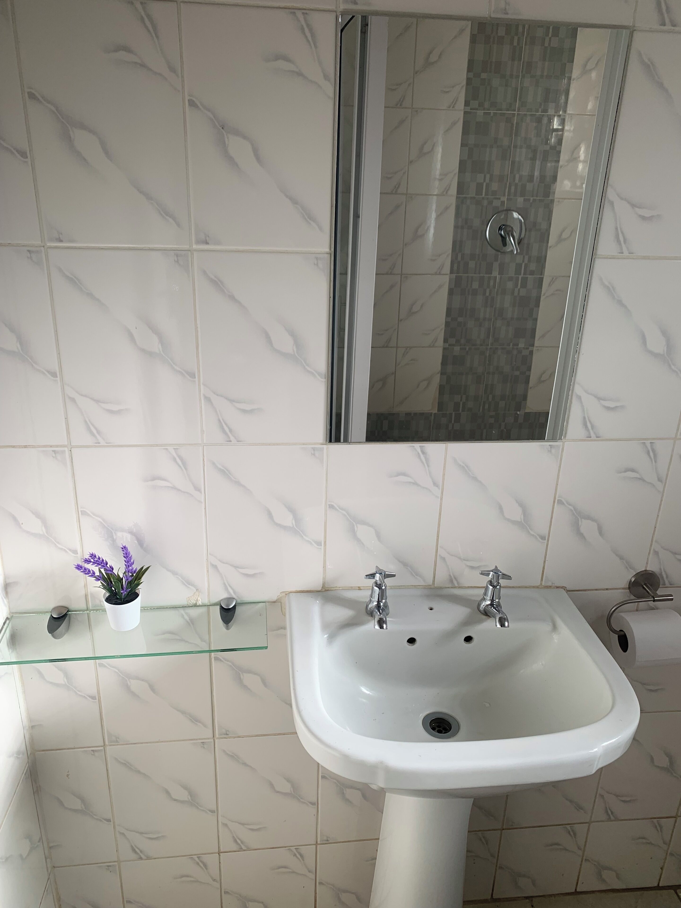 Une salle de bain avec un lavabo blanc, deux robinets, une étagère en verre sur laquelle est posée une plante en pot, et un miroir au-dessus du lavabo.