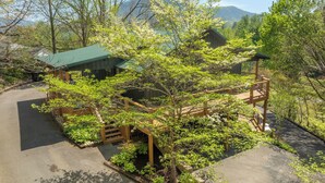 Un edificio de estilo japonés tradicional con techo verde, rodeado de abundante vegetación y un camino pavimentado.