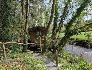 A rustic wooden cabin with a ladder leading up to a window, surrounded by dense greenery and a stream.