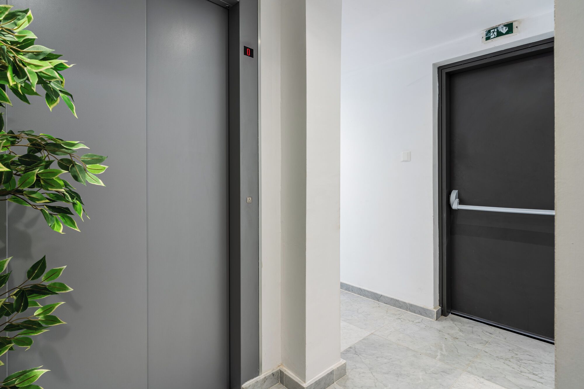 Een hal met een grijze lift, een donkere deur en een plant aan de linkerkant.