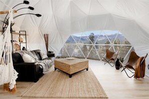 Télévision, cheminée, lecteur de DVD, livres