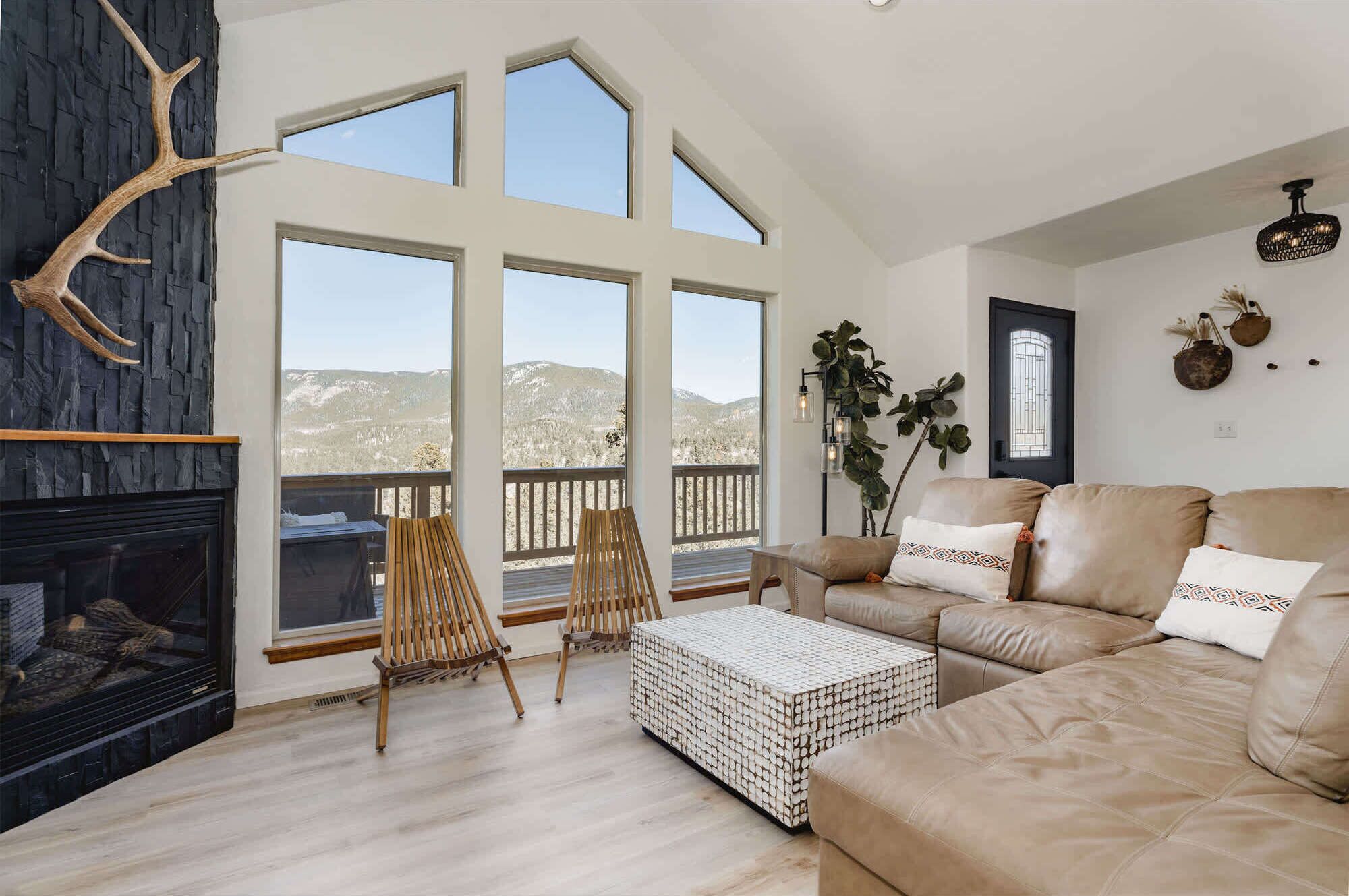 Televisión, chimenea, reproductor de DVD, libros