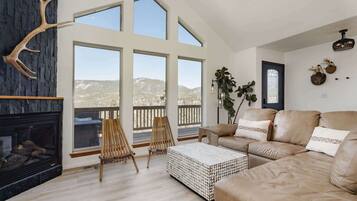 Televisión, chimenea, reproductor de DVD, libros