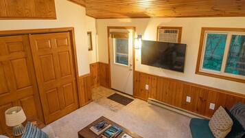 TV, fireplace, books