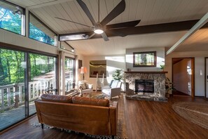 TV, fireplace, books