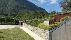 Uklassifisert bilde, 3 av 34, knapp