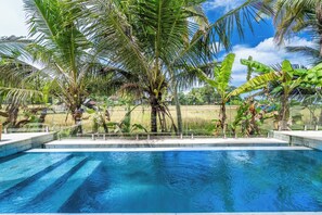 Outdoor pool, sun loungers