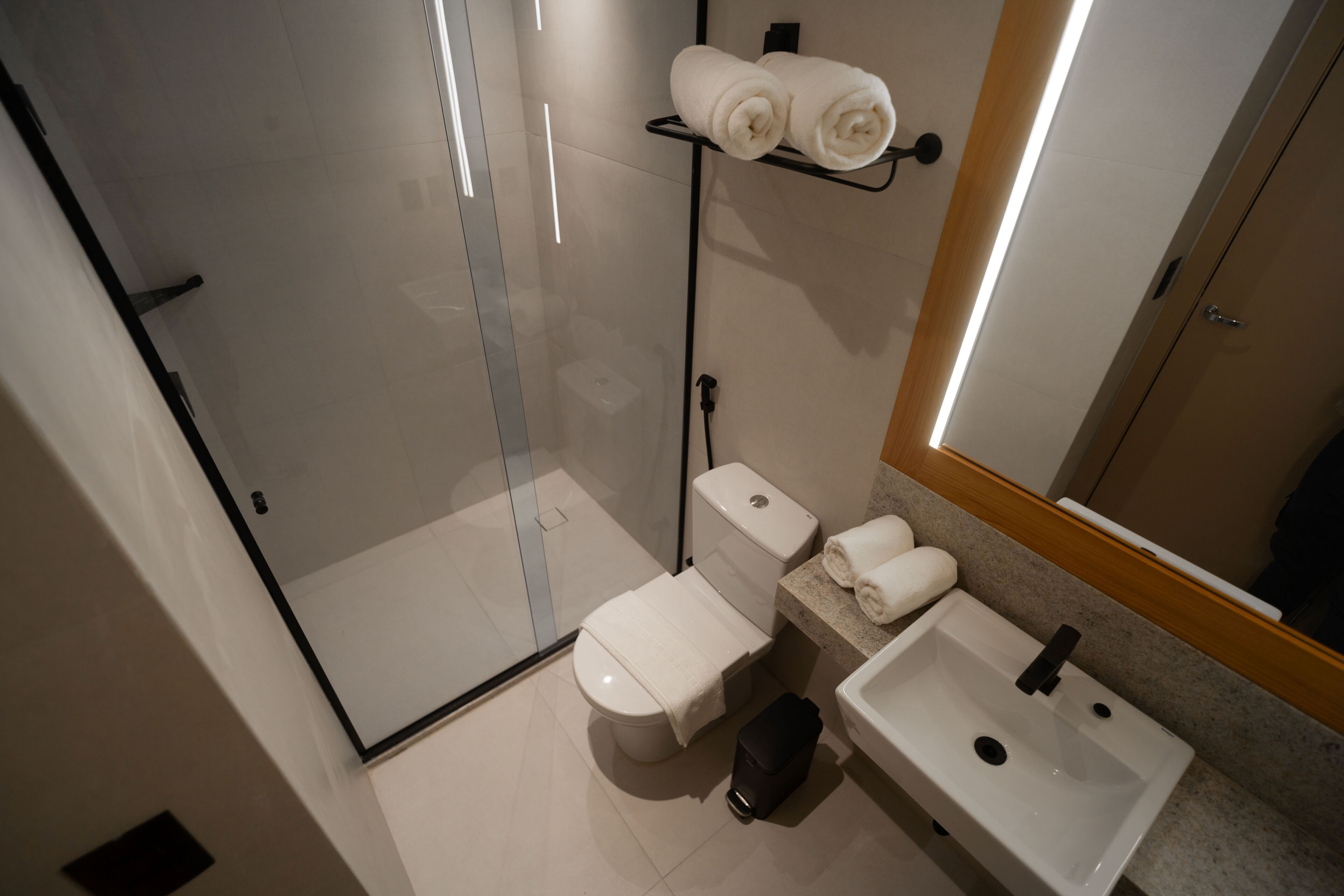 A modern bathroom with a glass shower enclosure, a toilet, a sink, and a towel rack.