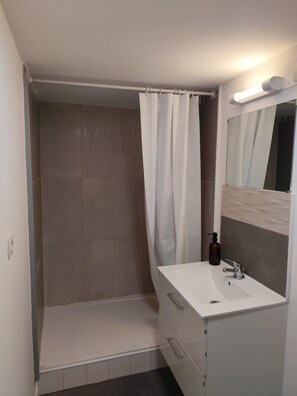 Shower, hair dryer, towels