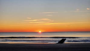 Unclassified image, 5 of 18, button - 3BR Charming Beach Cottage | North End OC (Ocean City)