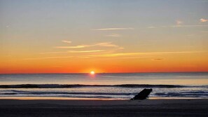 Beach nearby - 3BR Charming Beach Cottage | North End OC (Ocean City)