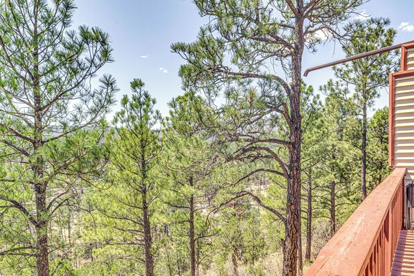A wooden deck overlooking a dense forest of pine trees. - Walk to Dtwn Ruidoso: Mtn-view Condo w/ Pool! (Ruidoso)