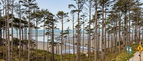 Beach nearby