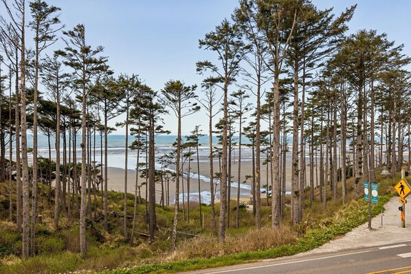 A coastal road with a pedestrian crossing sign, surrounded by tall pine trees and a beach in the background. - Seabrook King Tide | Oceanfront, Hot Tub, Pets 4BR | Sleeps 8, Pacific Landing (Pacific Beach)