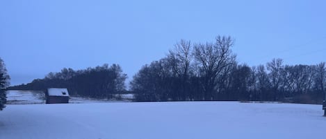 Miscellaneous