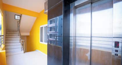 Yellow Bells Signature