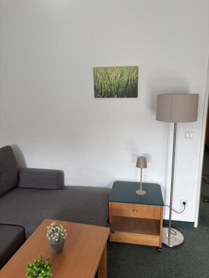 Living area - Komfortables Helles 2-zimmer-appartment (Waldkirchen)