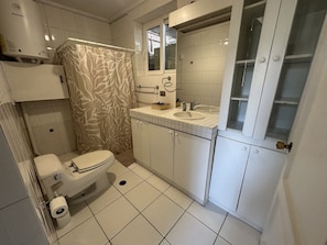 Casa | Baño | Secador de pelo, toallas y papel higiénico