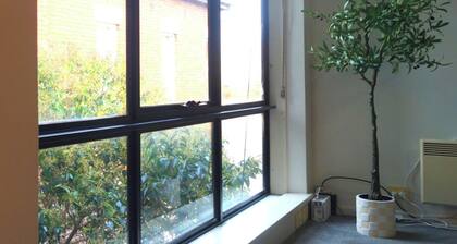 Tree Top Retreat - Cosy, Light Filled, Centrally Located, 1BR