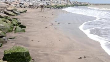 Room, 1 Bedroom, Accessible, Smoking | Beach