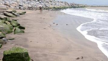 Room, 1 Bedroom, Accessible, Smoking | Beach