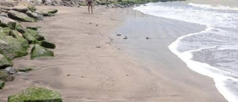 Chambre, 1 chambre, accessible aux personnes à mobilité réduite, fumeurs | Plage