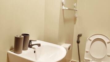 Shower, bidet, towels, toilet paper