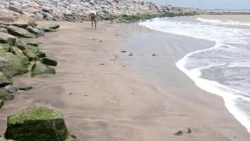 Room, 1 Bedroom, Accessible, Smoking | Beach