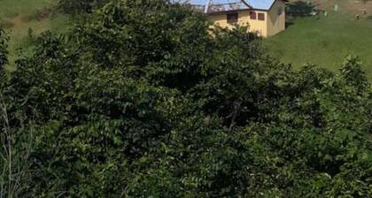 Room in Guest Room - Special Place For Special People - Room 3