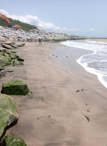 Room in Guest Room - Special Place For Special People - Room 4